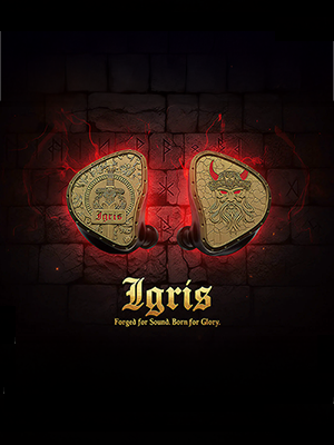 AMEIgris_1 copy